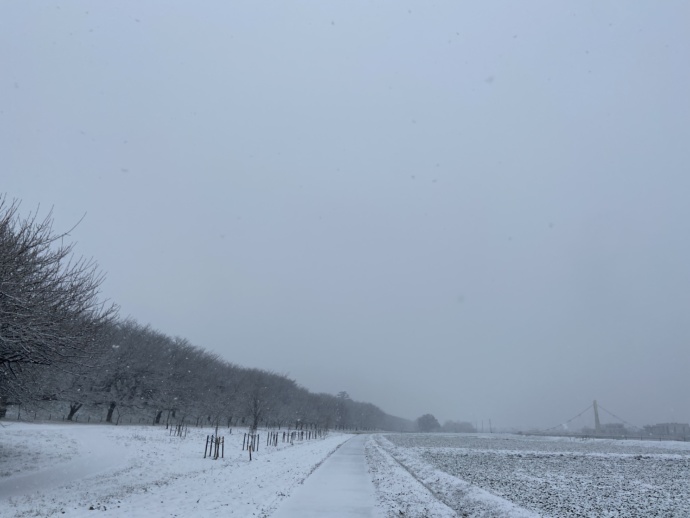 権現堂公園の雪景色