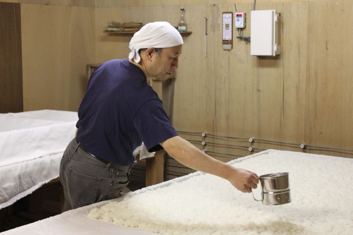 福井酒造で行われている「掛け米」の様子