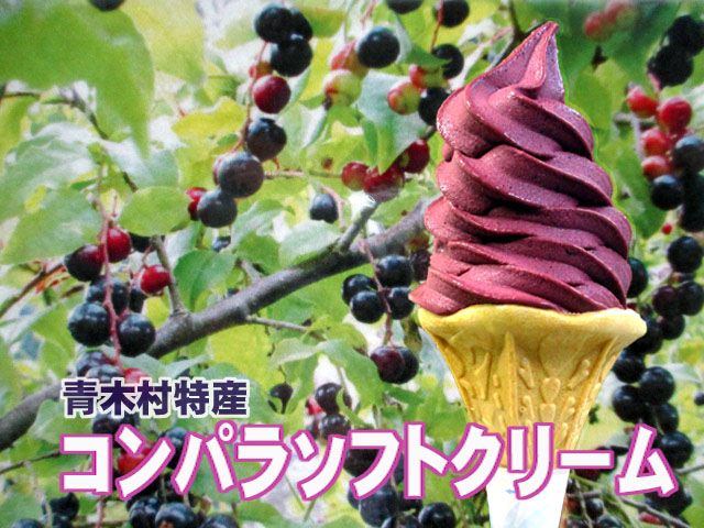 長野県小県郡青木村にある「道の駅あおき」でいただけるコンパラソフトクリーム