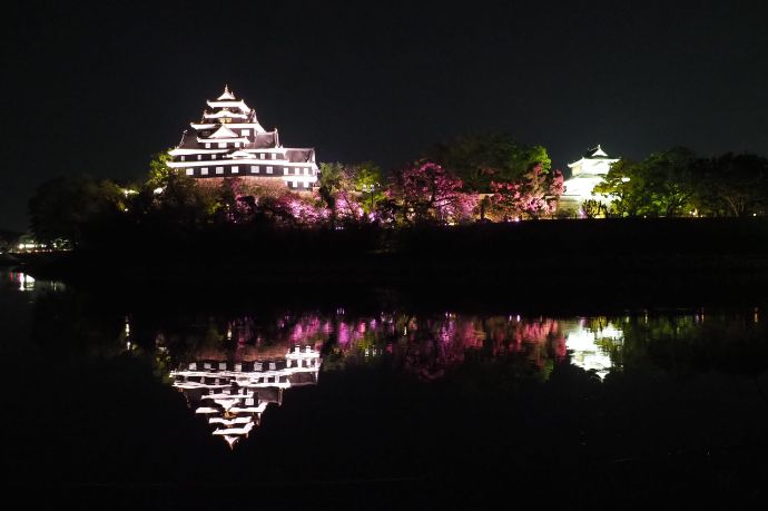 暗闇に浮かぶ岡山城のライトアップ