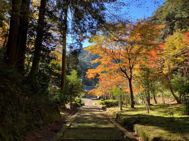 峰山蓮華寺で見られる紅葉