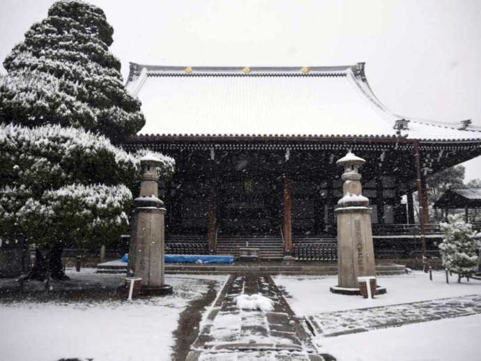 妙顕寺本堂の冬の様子