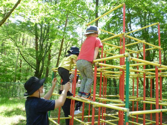 上松町の緑豊かな自然の中で遊ぶ子どもたち