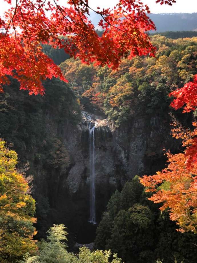 紅葉の時期の福貴野の滝