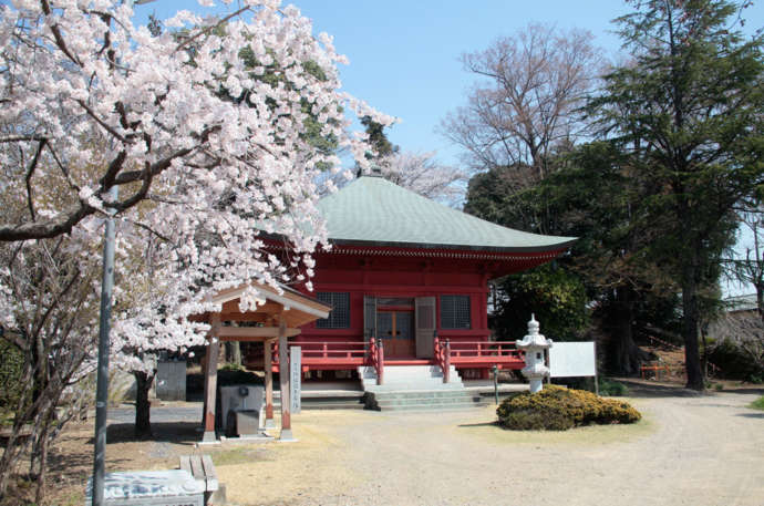 赤岩山光恩寺の春の本堂