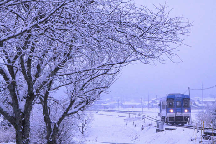 雪景色の中を走る明知鉄道