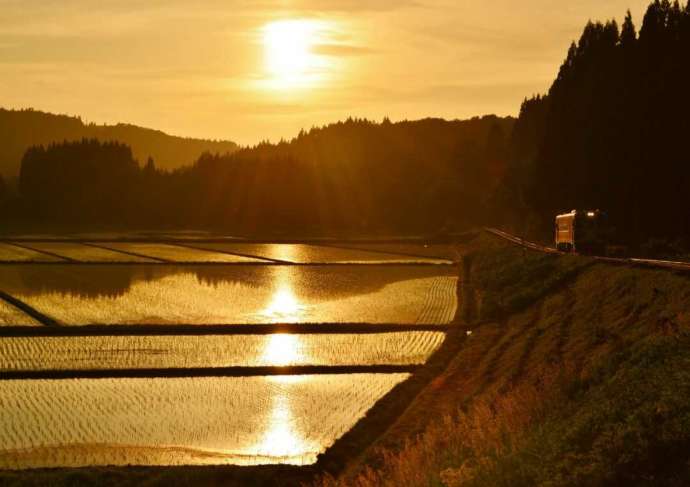 米内沢～桂瀬間の水田を照らす夕陽