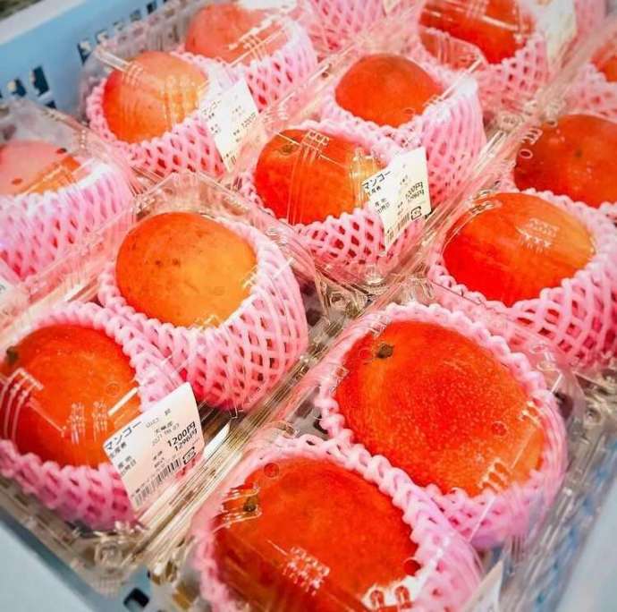 「天草市イルカセンター」の直売所で販売されているマンゴー