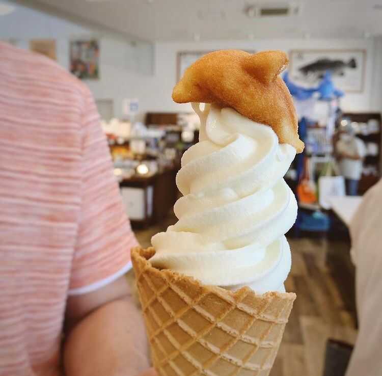 「天草市イルカセンター」にある「IRU CAFE」で販売されているアイスクリーム