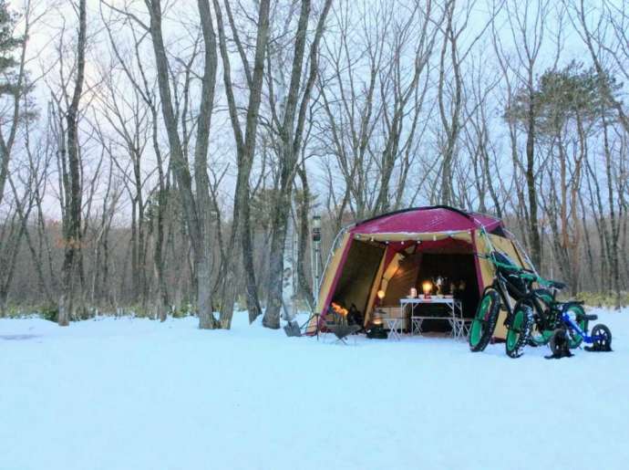 冬のキャンプサイトの様子
