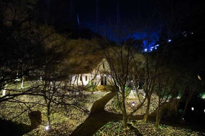岡山県岡山市にある「森の邸宅彩音」のチャペルを引きで眺める