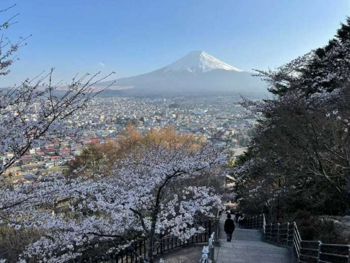 新倉富士浅間神社の階段途中から見る富士山