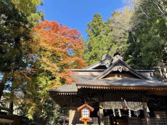 新倉富士浅間神社の本殿と紅葉