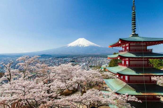 新倉富士浅間神社の忠霊塔と富士山と桜