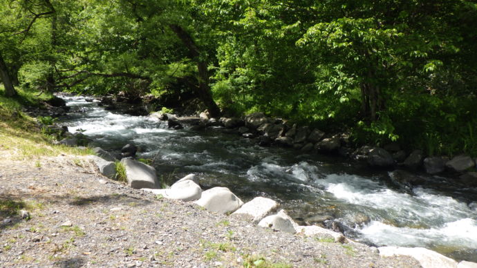 長野県朝日村のキャンプ場を流れる川