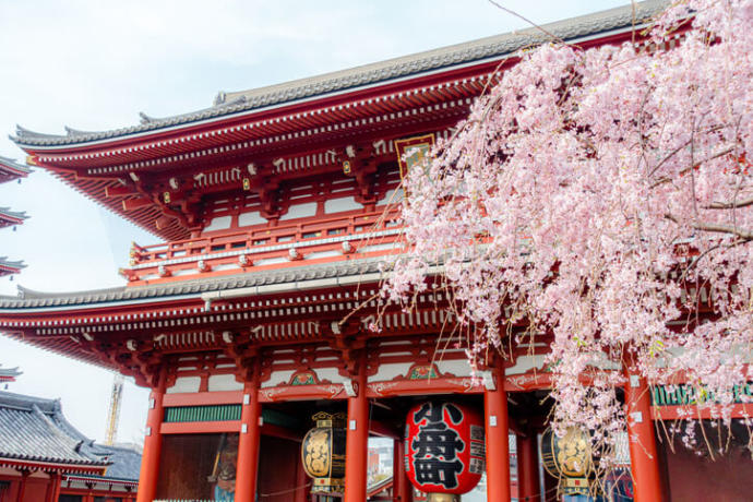 東京で人気のデートスポット＿浅草神社