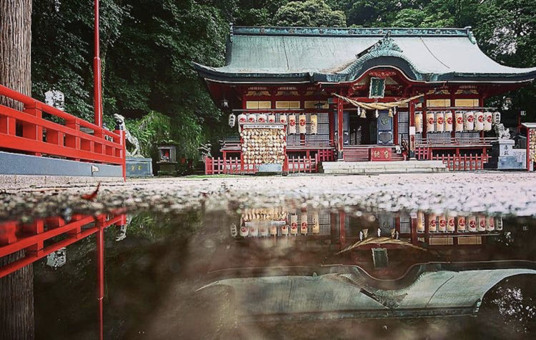 別府市にある「八幡朝見神社」の本殿と池