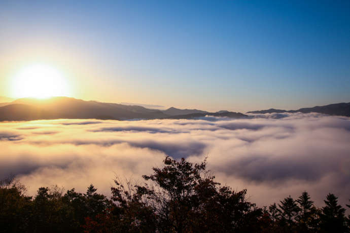 景勝地の上金剛山展望台から見える雲海