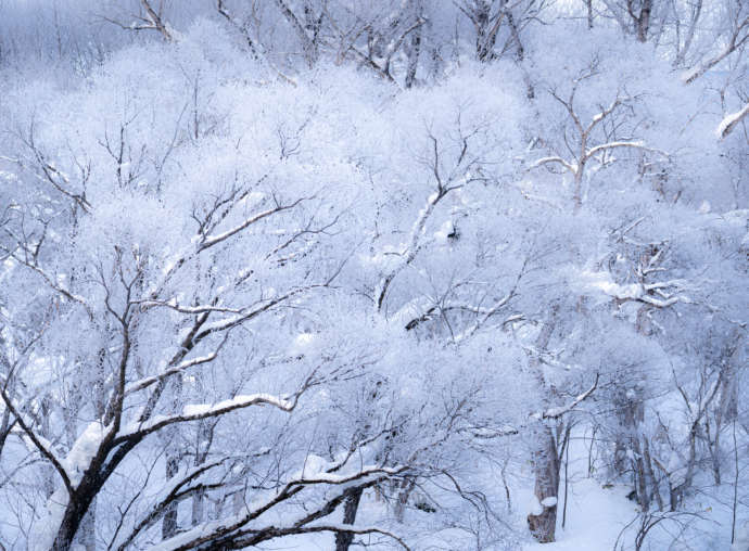 芦別市の冬景色