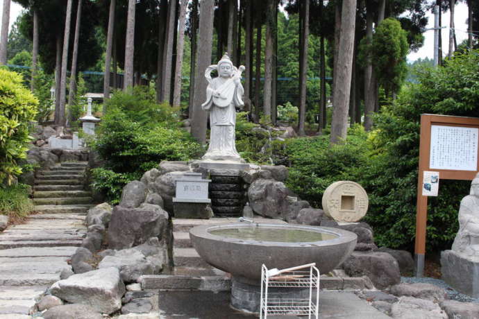 「阿蘇白水龍神權現（白蛇神社）」境内にある「銭洗い龍神池」