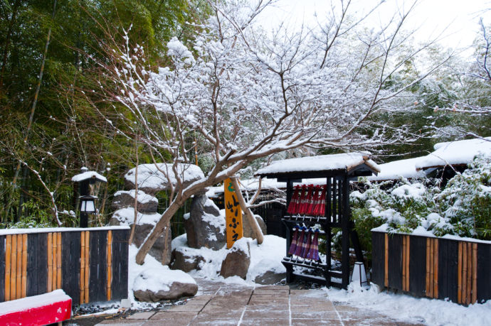 雪景色の「秘境 白川源泉 山荘 竹ふえ」の敷地（冬）