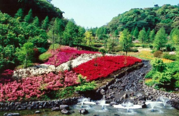 兵庫県立淡路島公園にある花の谷で花が咲いている様子