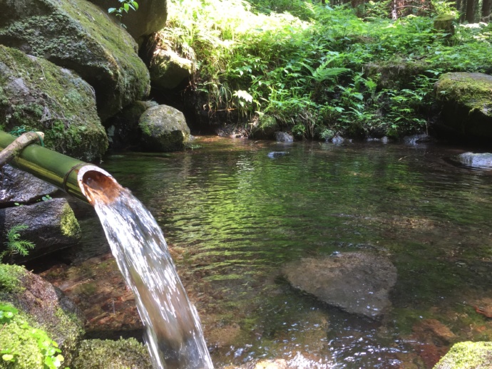 磐梯町の龍ヶ沢湧水