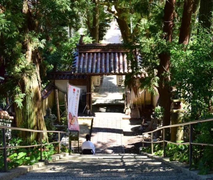 天津神社内の石段風景