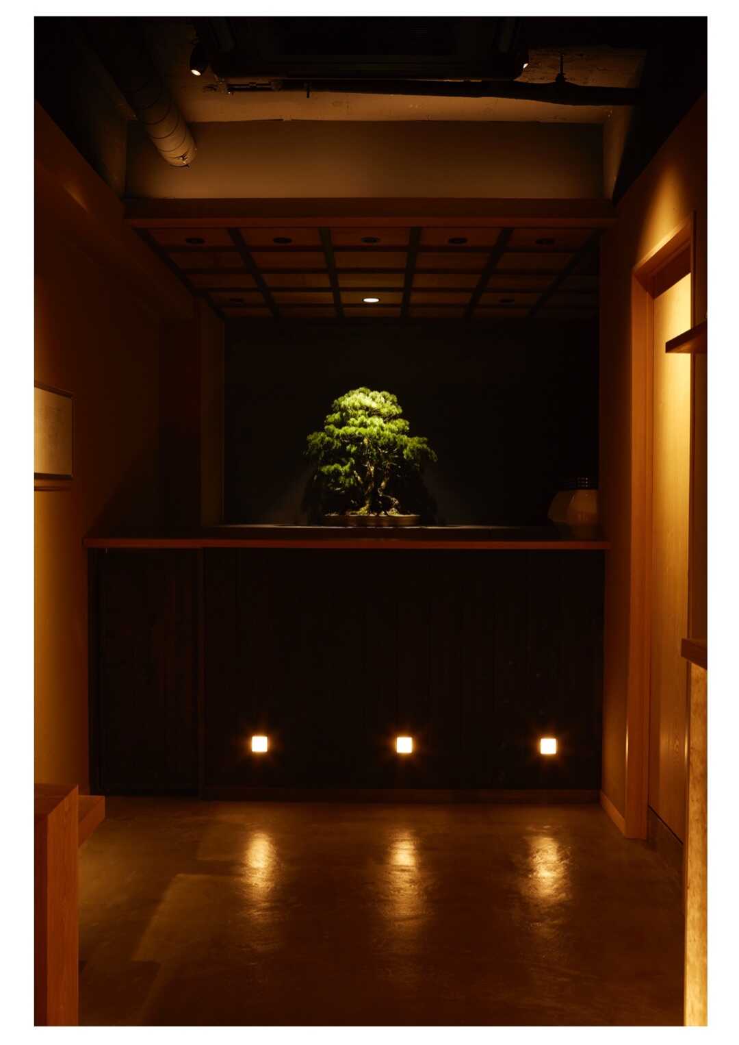 東京都中央区銀座にあるBONGEN COFFEEの盆栽