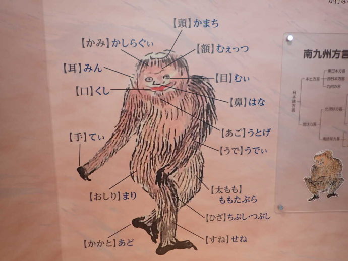 奄美の代表的な妖怪ケンムンを紹介する展示