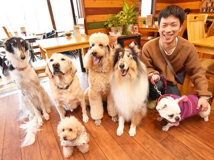 「Cafe Maera（犬カフェ まいら）」のセラピードッグと愛犬と来店したお客さま