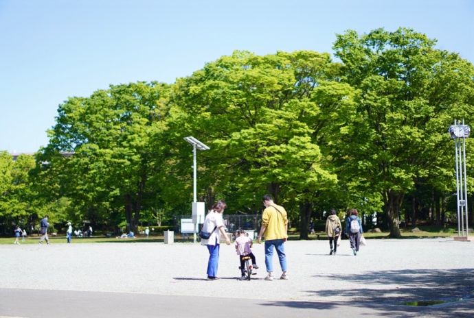 茅ヶ崎市中央公園（第一カッターきいろ公園）で子どもに自転車の乗り方を教える家族の図