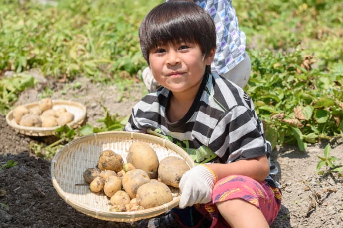 安曇野ちひろ公園で開催している野菜の収穫体験を楽しむ少年