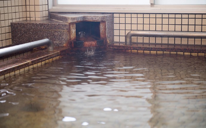 鳥取県鳥取市にある八上比売の美肌の湯 湯谷荘の温泉