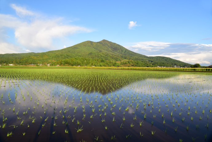 筑西市にある筑波山と田んぼの写真