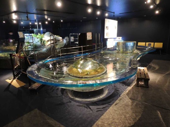 サケのふるさと千歳水族館のタッチプール