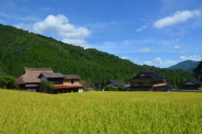 鳥取県智頭町の田園風景