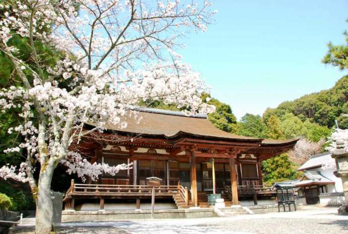 奈良県生駒市の「長弓寺 薬師院」の本堂