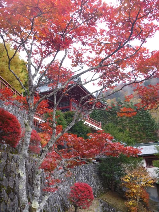 秋の日光山中禅寺