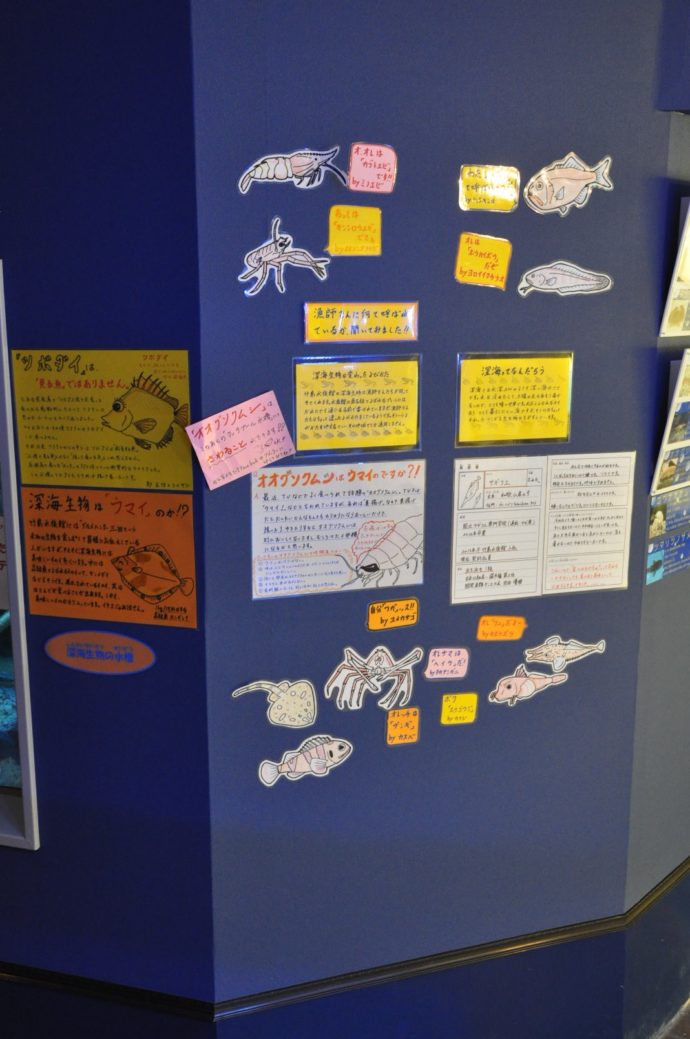 竹島水族館の日本一読まれるわかりやすくて面白い手書きカンバン（解説）