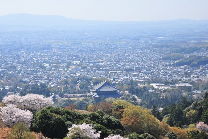 若草山から見た奈良市の遠景