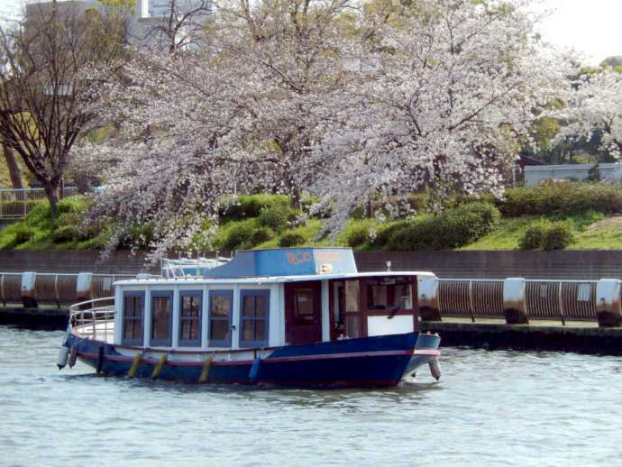 岸に桜の咲く春の川を進むNAGOYAクルージングの船舶