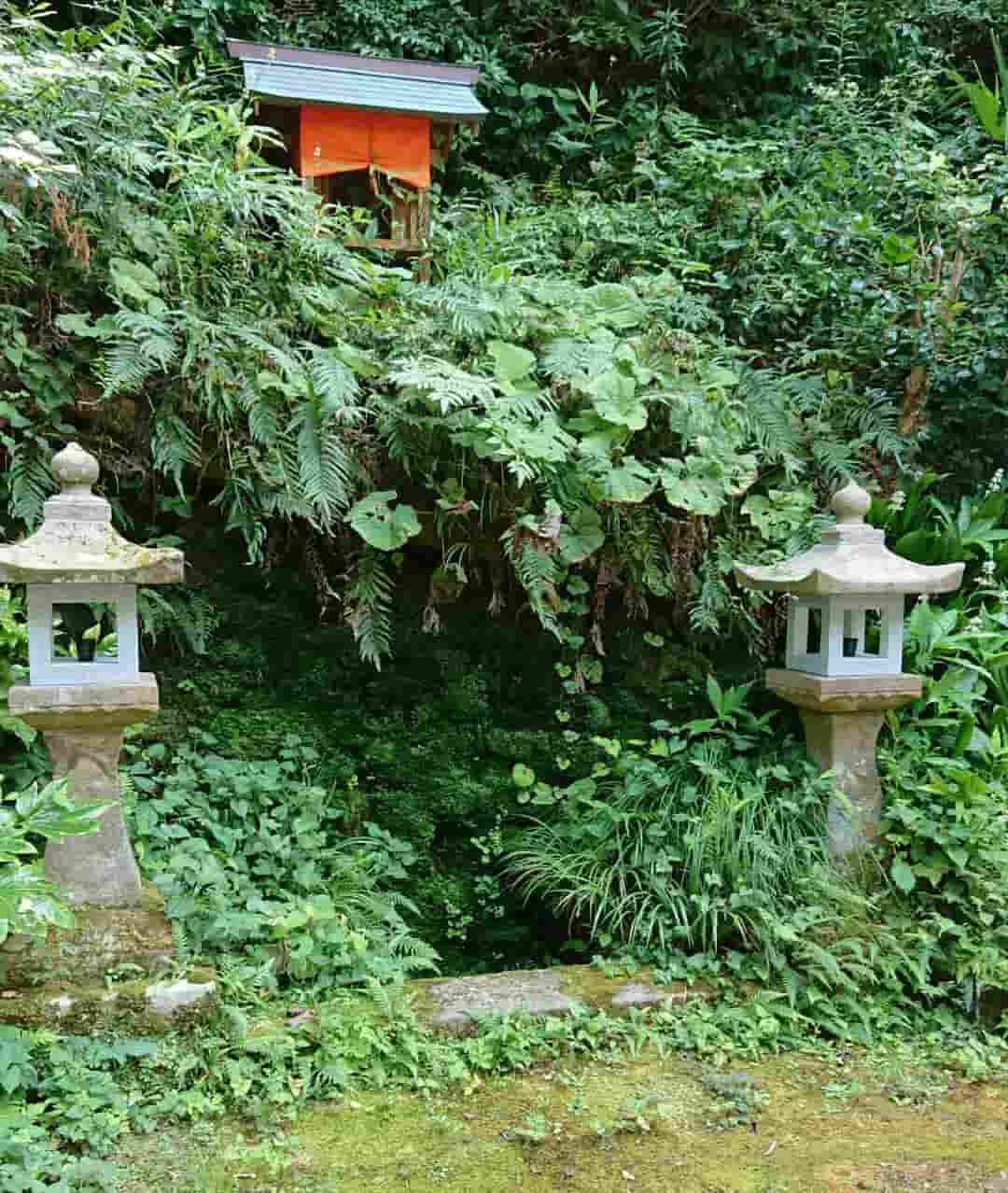 緑が美しい菅生山 大宝寺