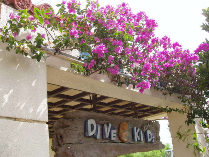 沖縄県宮古島市にあるダイビングショップ「ダイブキッズ」の看板