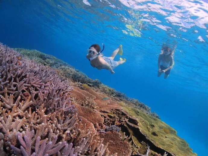 あつまるのシュノーケリングツアーで石垣島のサンゴ礁を眺める