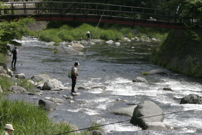 道志川で釣りを楽しむ方々