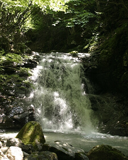 道志村の的様下にある滝