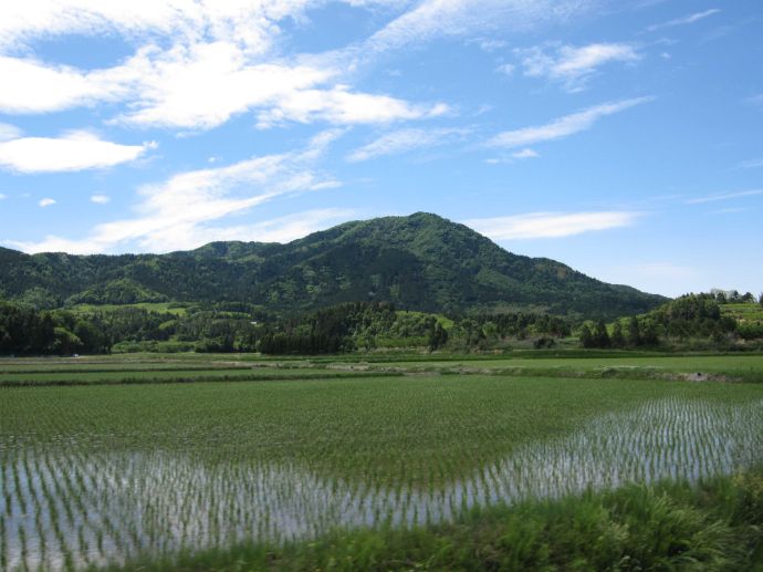 角田山から見える田園風景