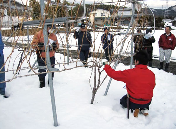 岩手県花巻市大迫町にあるワイナリー「エーデルワイン」の栽培指導会の様子