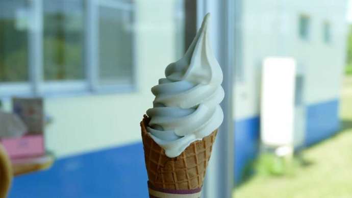 定番から季節限定まで、さまざまなフレーバーが味わえる道の駅マリーンアイランド岡島のソフトクリーム